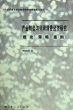 产业发展与城市经济政府战略管理 产业转型与休闲消费经济研究 理论·策略·案例