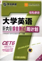 大学英语新六级综合测试周计划