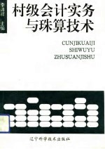 村级会计实务与珠算技术