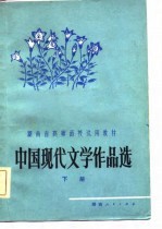 中国现代文学作品选 下