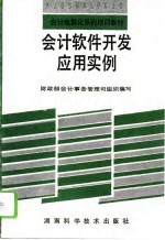 会计软件开发、应用实例