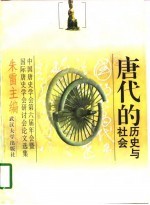 唐代的历史与社会 中国唐史学会第六届年会暨国际唐史学会研讨会论文选集