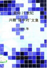 走向21世纪兴赣《隆中对》文集 1995年