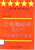 公有制经济再生产分析的五个支点 主体、积累、实现、市场、货币