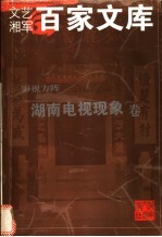 文艺湘军百家文库 影视方阵 湖南电视现象卷