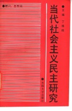 当代社会主义民主研究