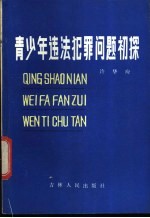 青少年违法犯罪问题初探