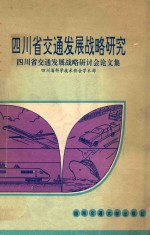 四川省交通发展战略研究 四川省交通发展战略研讨会论文集