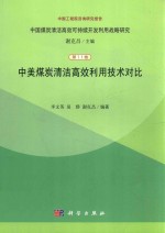 中美煤炭清洁高效利用技术对比