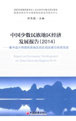 中国少数民族地区经济发展报告 2014