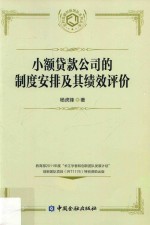 小额贷款公司的制度安排及其绩效评价