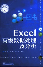 Excel高级数据处理及分析