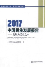 2017中国民生发展报告