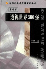 国际化企业管理百科全书 第10卷 透视世界500强