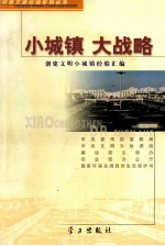 小城镇  大战略  创建文明小城镇经验汇编