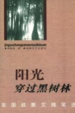 阳光穿过黑树林 金国政散文随笔选