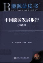 中国能源发展报告  2013  2013版