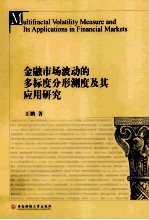 金融市场波动的多标度分形测度及其应用研究