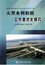 大型水利枢纽总布置优化研究