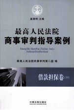 最高人民法院商事审判指导案例 借款担保卷 下