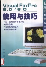 Visual FoxPro 5.0/6.0使用与技巧