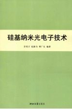 硅基纳米光电子技术