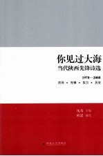 你见过大海 当代陕西先锋诗歌选 1978-2008