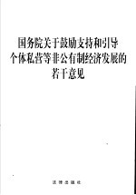 国务院关于鼓励支持和引导个体私营等非公有制经济发展的若干意见