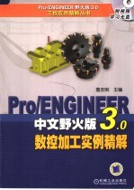 Pro/ENGINEER中文野火版3.0数控加工实例精解