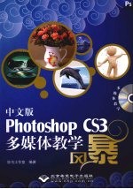 中文版Photoshop CS3多媒体教学风暴