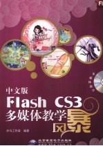 中文版Flash CS3多媒体教学风暴