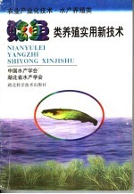 鲶鱼类养殖实用新技术