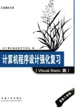 计算机程序设计强化复习 Visual Basic篇 最新大纲版