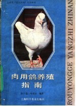 肉用使鸽养殖指南