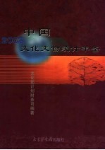 中国文化文物统计年鉴 2002