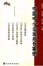 中国中小企业成长案例