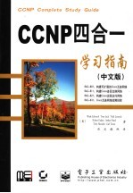 CCNP四合一学习指南 中文版