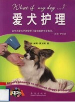 爱犬护理