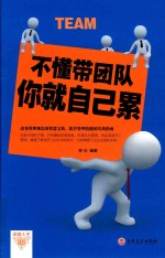 不懂带团队你就自己累   企业管理书籍   成功励志销售技巧书籍