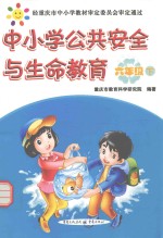 中小学公共安全与生命教育 六年级 下