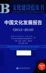 中国文化发展报告 2015-2016 2016版