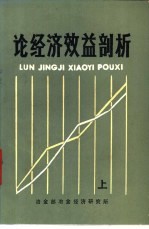 论经济效益剖析 上