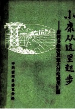 小康从这里起步 唐河县经济思想大讨论成果汇编