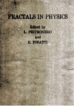 Fractals in physics