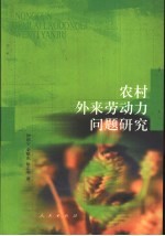 农村外来劳动力问题研究