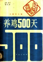 养鸡500天