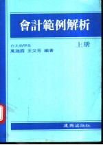 会计范例解析 上