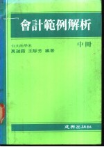 会计范例解析 中