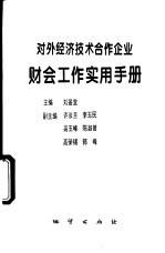 对外经济技术合作企业财会工作实用手册