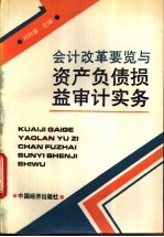 会计改革要览与资产负债损益审计实务